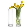 Clear Glass Cylinder Vase