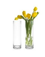 Clear Glass Cylinder Vase