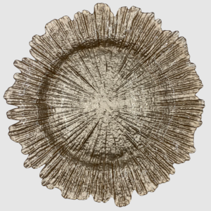 Reef Glass Charger Plate in Champagne 13inches