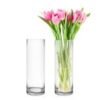 glass cylinder vases