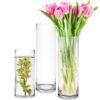 glass cylinder vases wholesale (1)